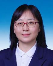 ZHAO Min, Asia-Pacific Finance and Development Institute (AFDI); Shanghai National Accounting Institute (SNAI)